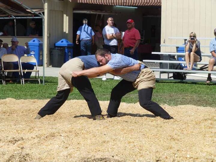 Poster Fall Schwingfest Newark