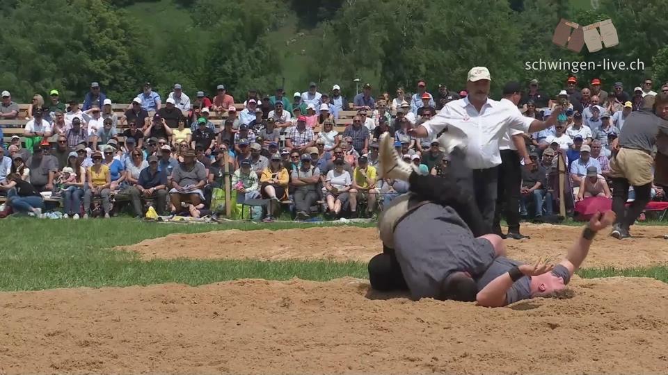 Poster Glarner-Bündner Kantonalschwingfest Ziegelbrücke - Highlights