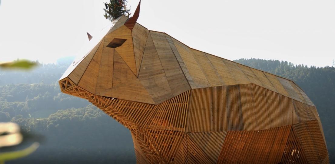 Poster Forum #6: Wer wird der neue Schwingerkönig?