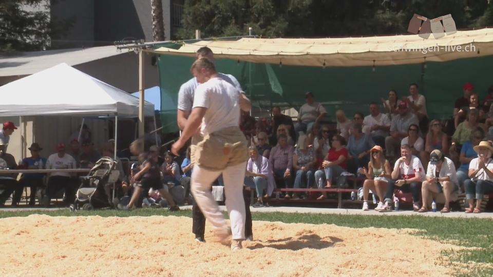 Poster Fall Schwingfest Newark- Highlights