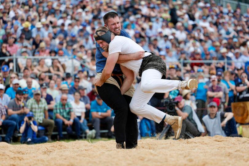 Schwingen Live schwingen-live